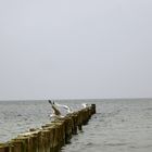 an der Ostsee