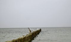 an der Ostsee