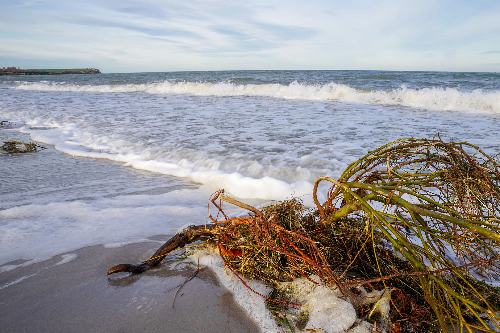 An der Ostsee (3)