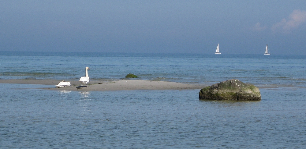 An der Ostsee