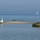 An der Ostsee