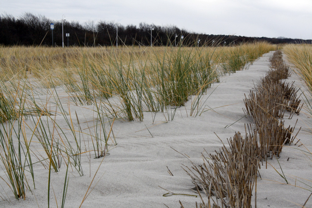 an der Ostsee