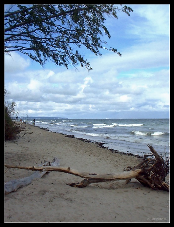 An der Ostsee