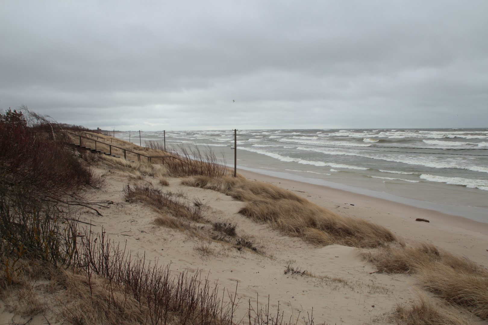 An der Ostsee (5)