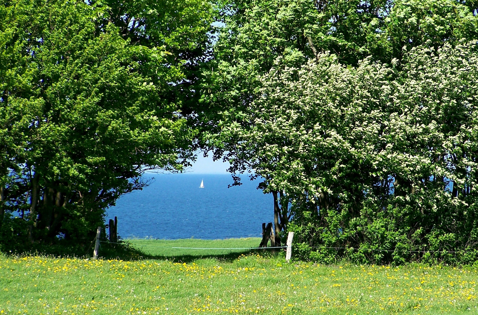 an der Ostsee