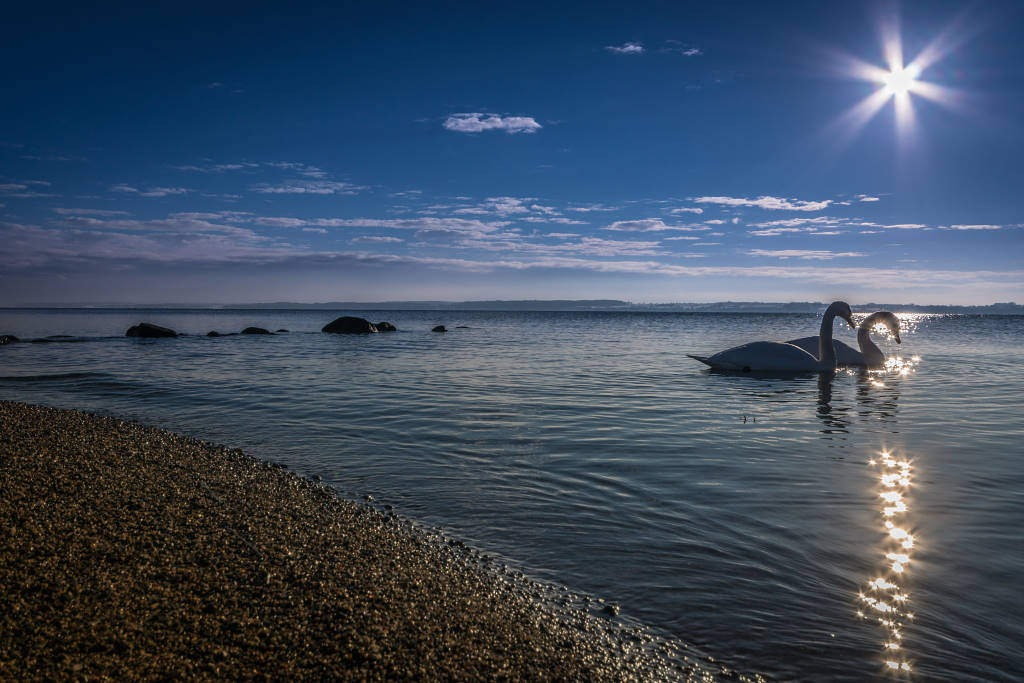 An der Ostsee