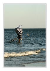 An der Ostsee