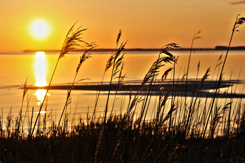 an der Ostsee