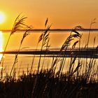 an der Ostsee