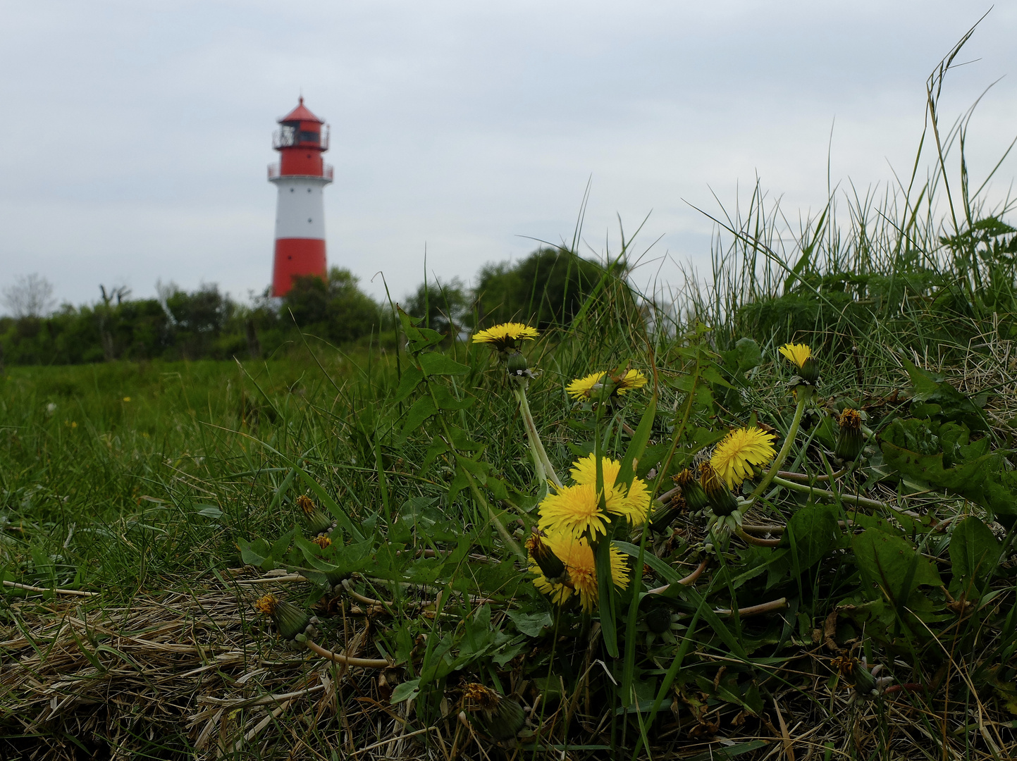 An der Ostsee...