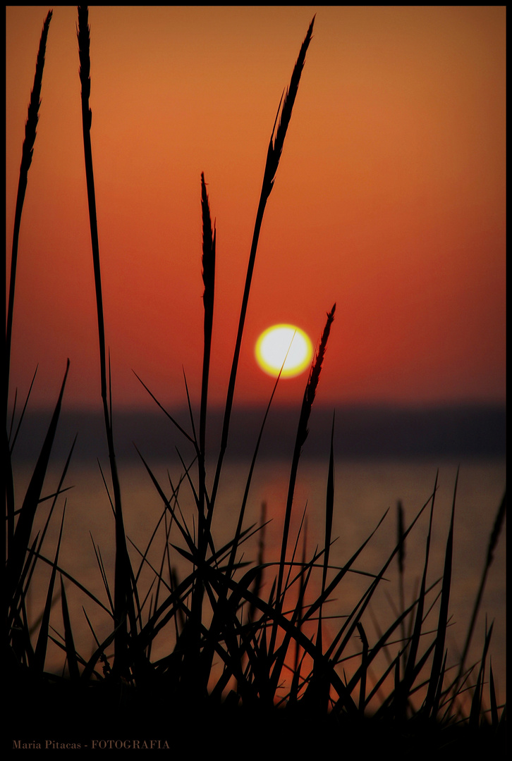 ~ An der Ostsee ~