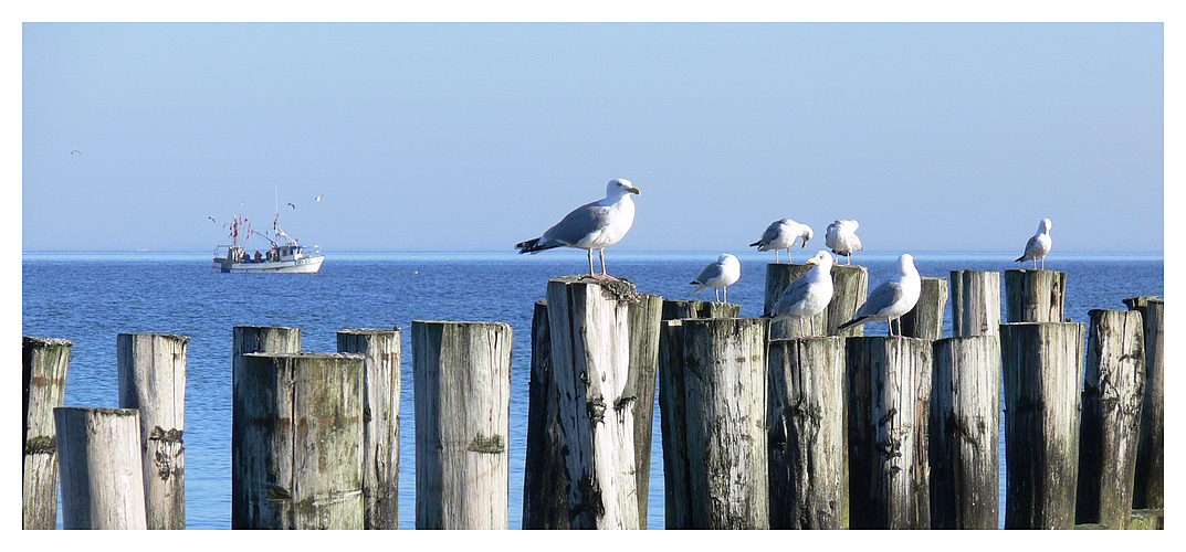 An der Ostsee