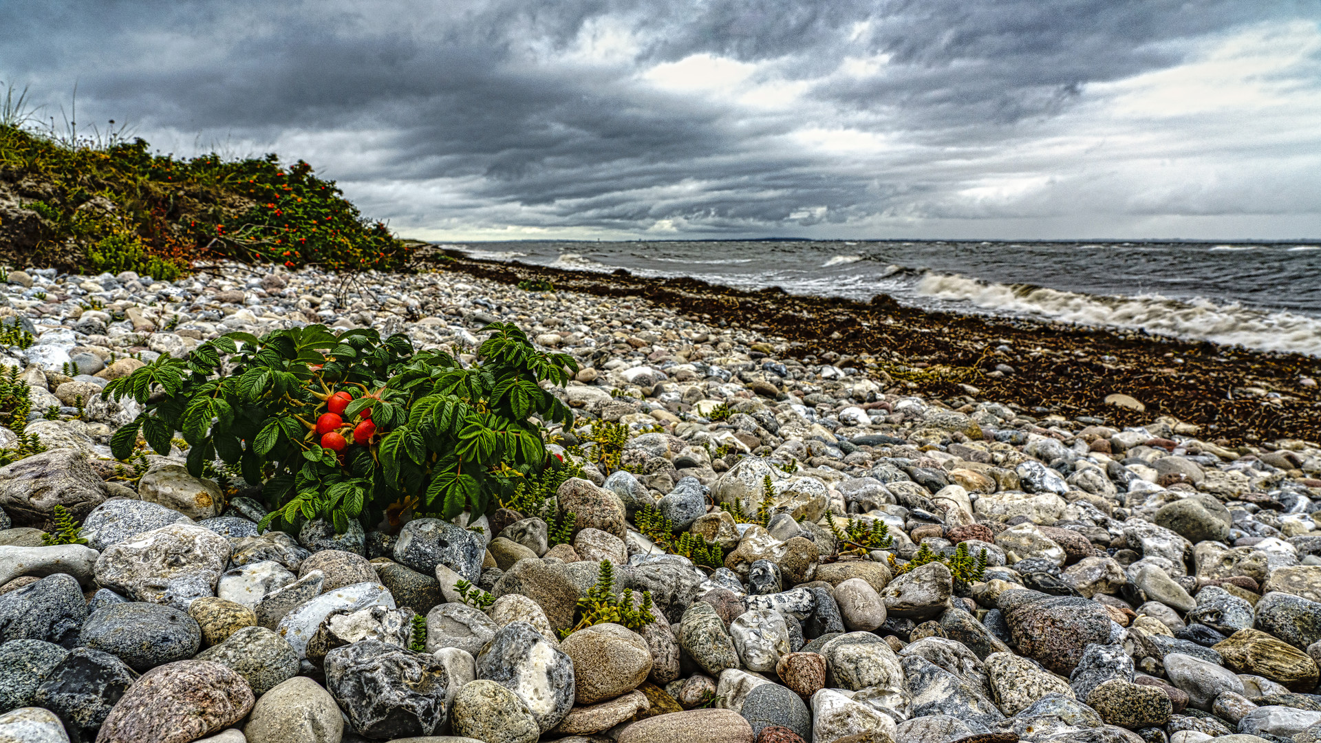 An der Ostsee bei Falshöft, 2020.09.25.