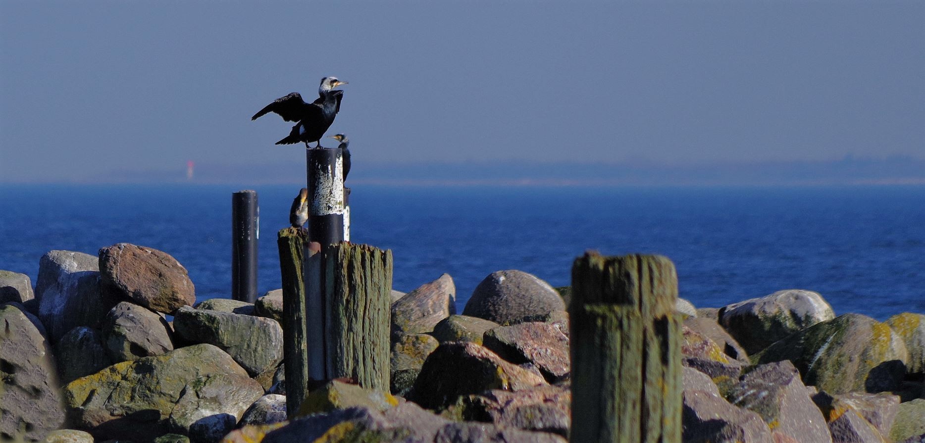 an der Ostsee