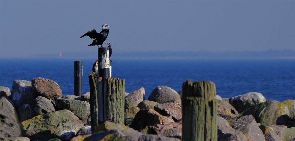 an der Ostsee