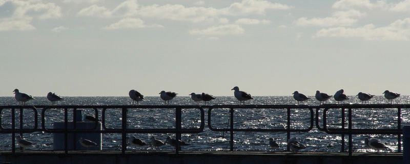 an der Ostsee