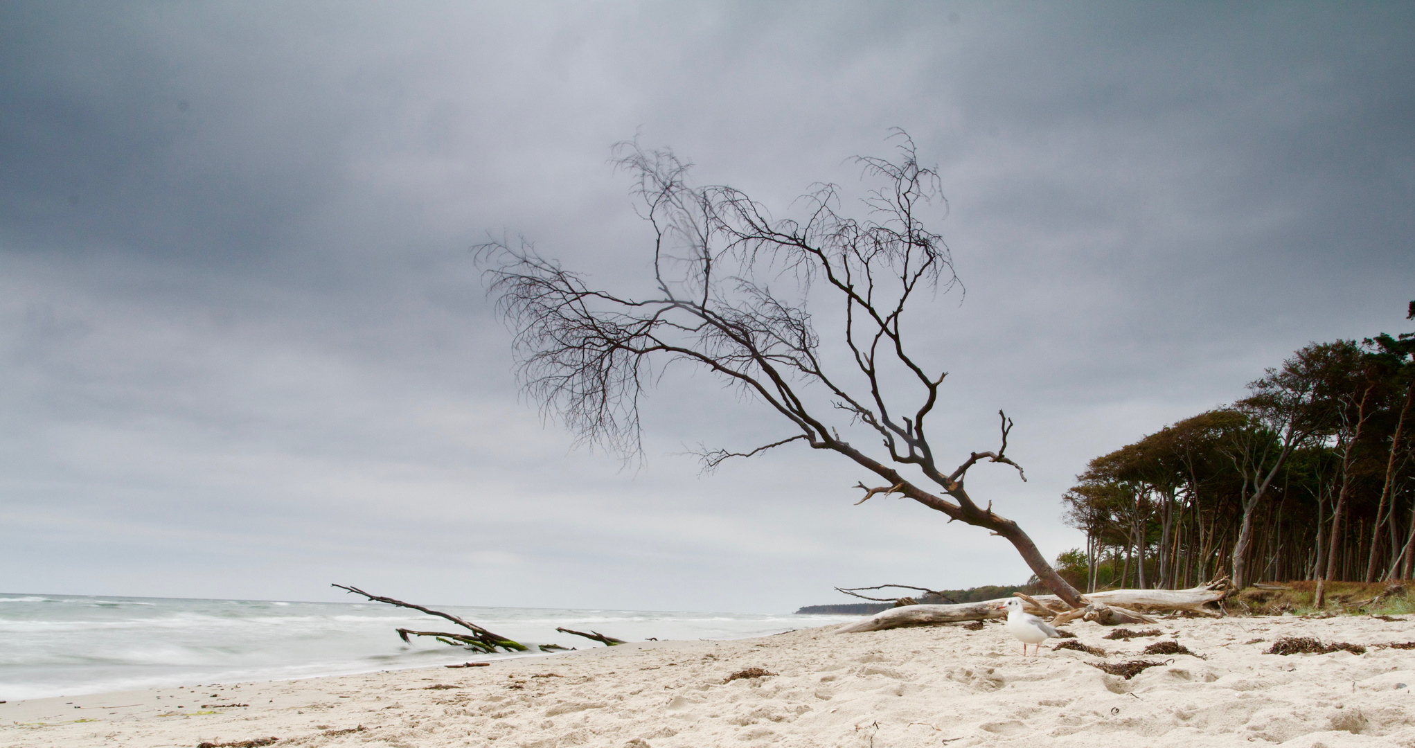 An der Ostsee