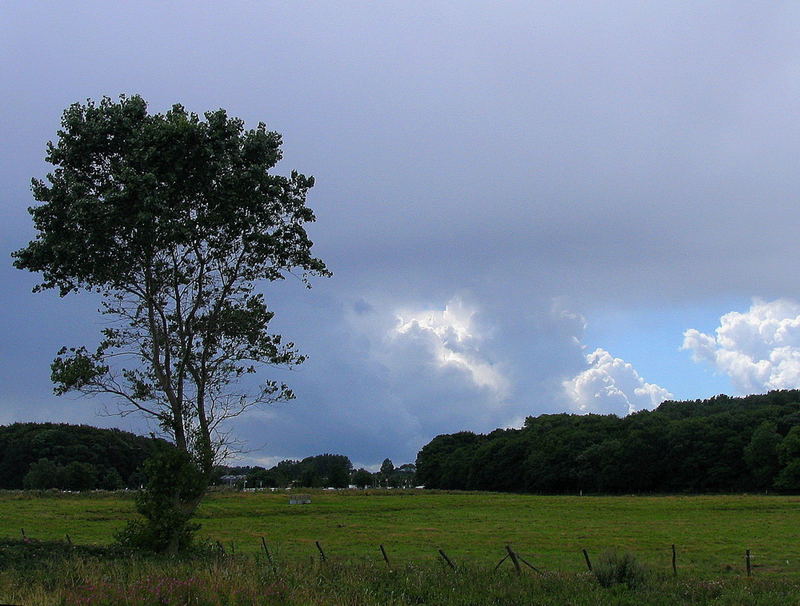 An der Ostsee ii