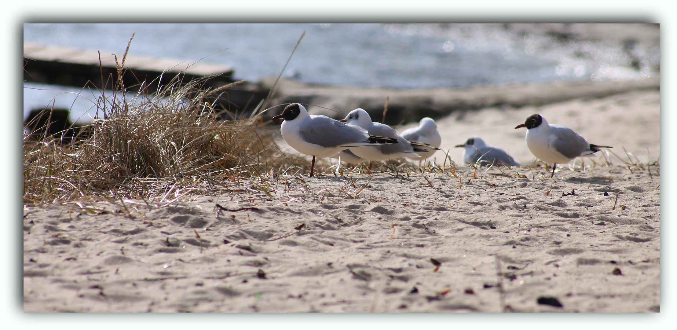 An der Ostsee im März