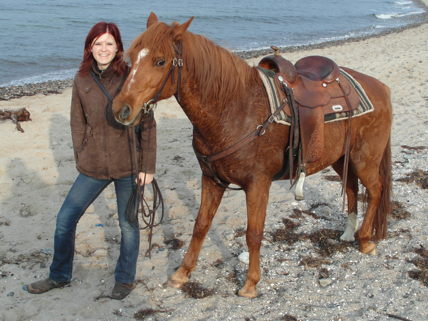 An der Ostsee mit dem Pferd