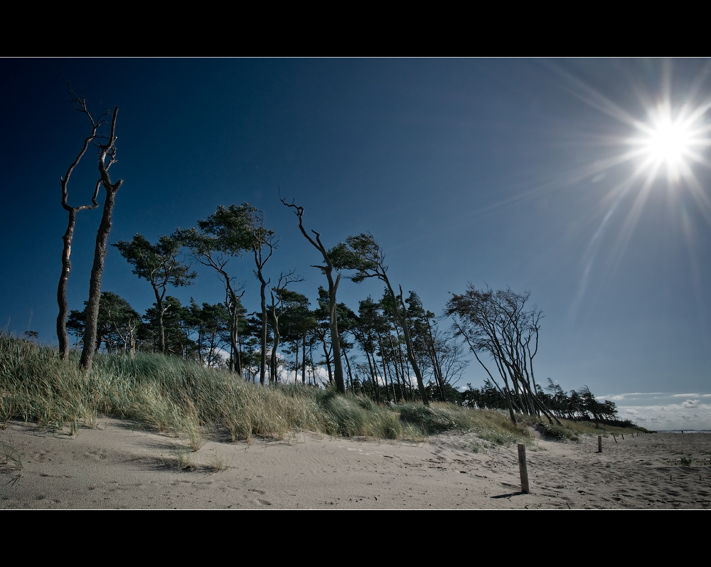 an der Ostsee.6