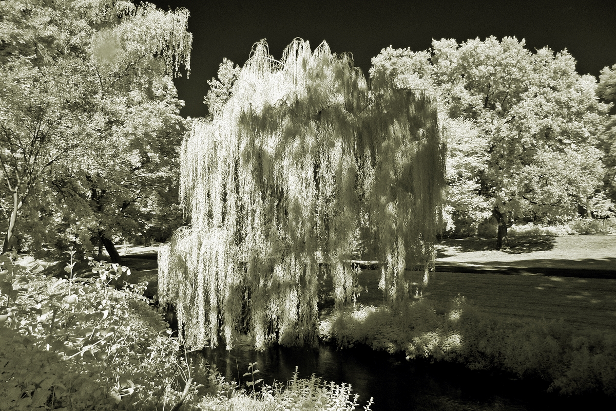 an der Panke im Bürgerpark Pankow