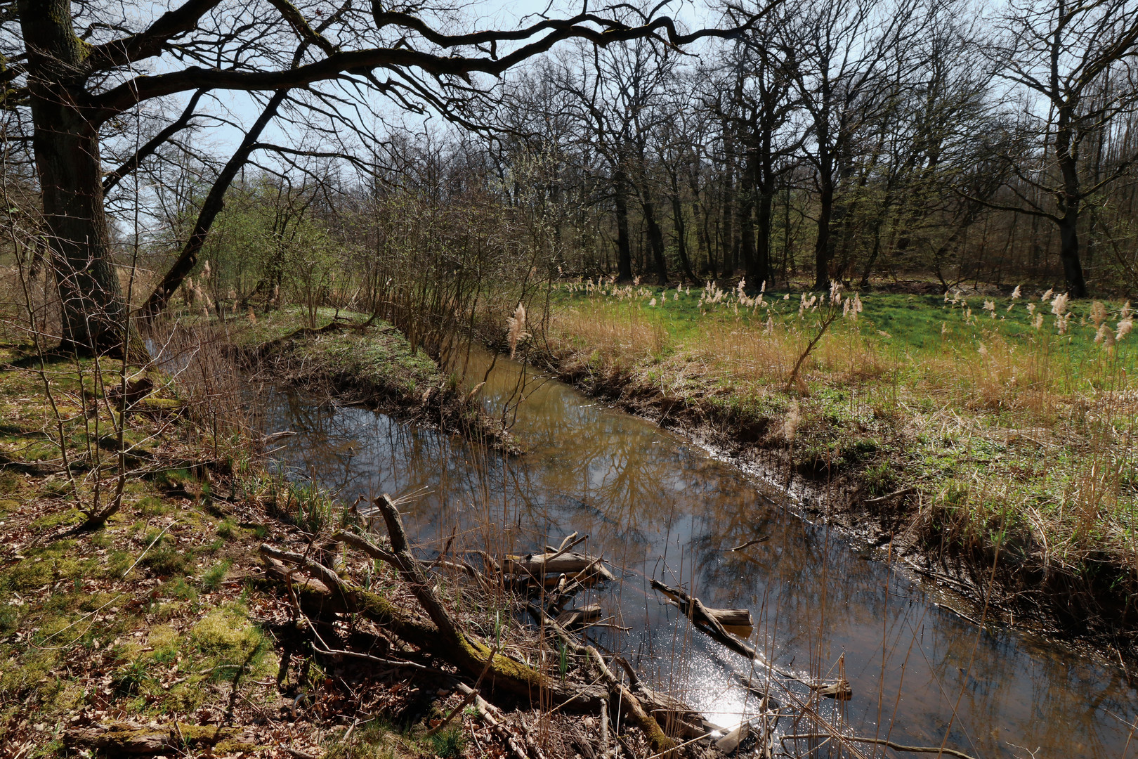 An der Papenwiese