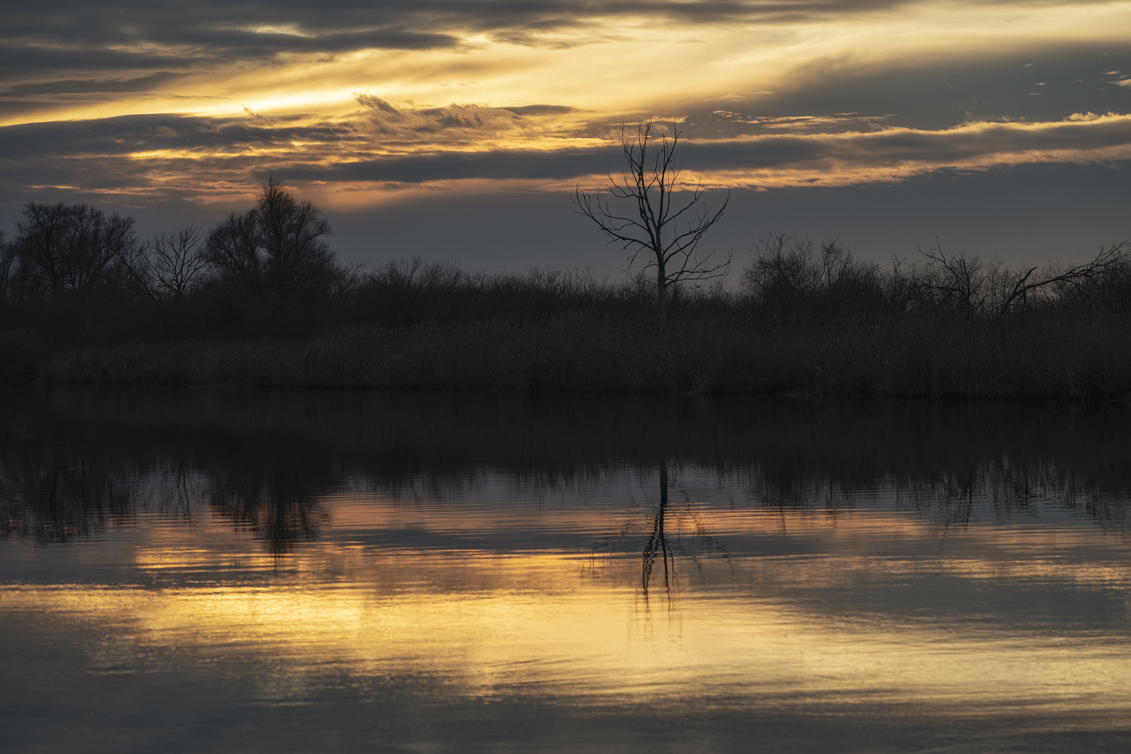 an der Peene