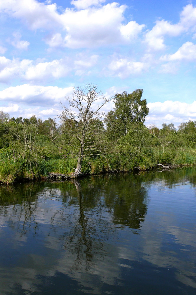 An der Peene