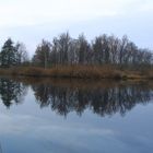 An der Peene bei Anklam