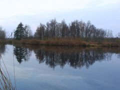 An der Peene bei Anklam