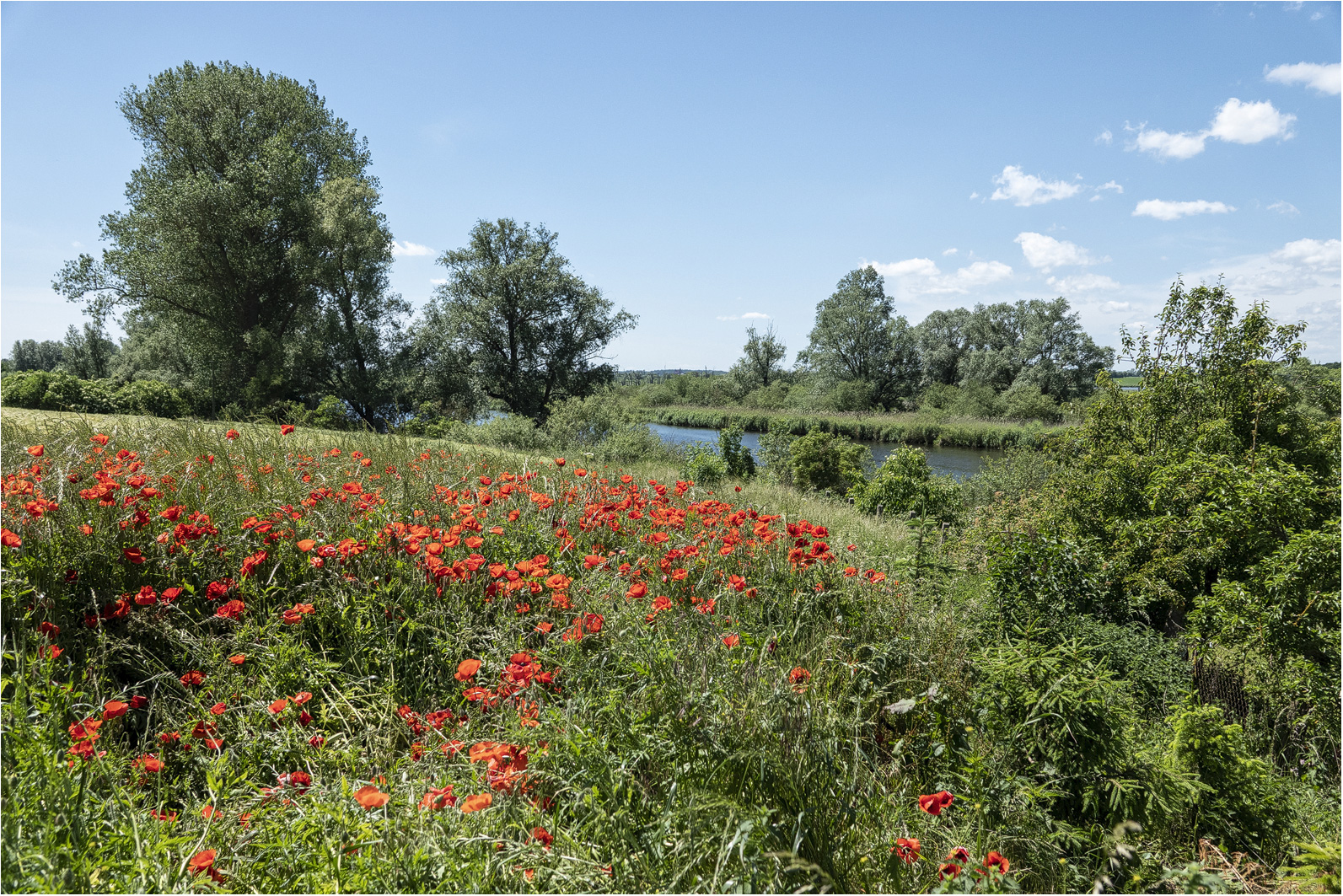 An der Peene..