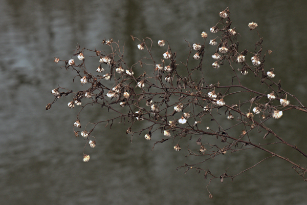 An der Pegnitz