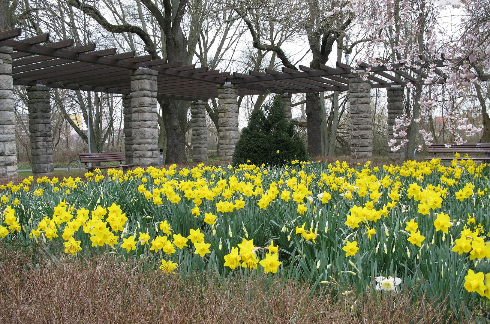 An der Pergola am See