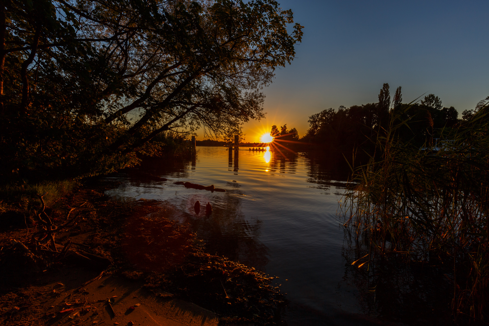 An der Pfaueninsel