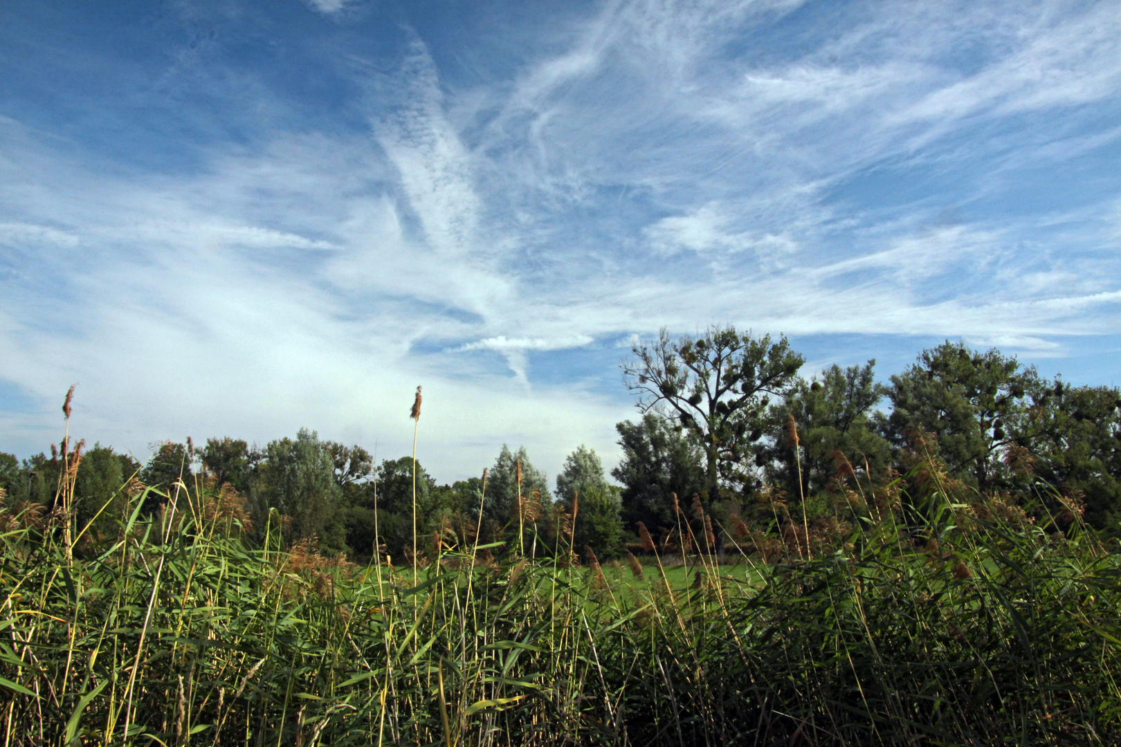 An der Piepenwiese