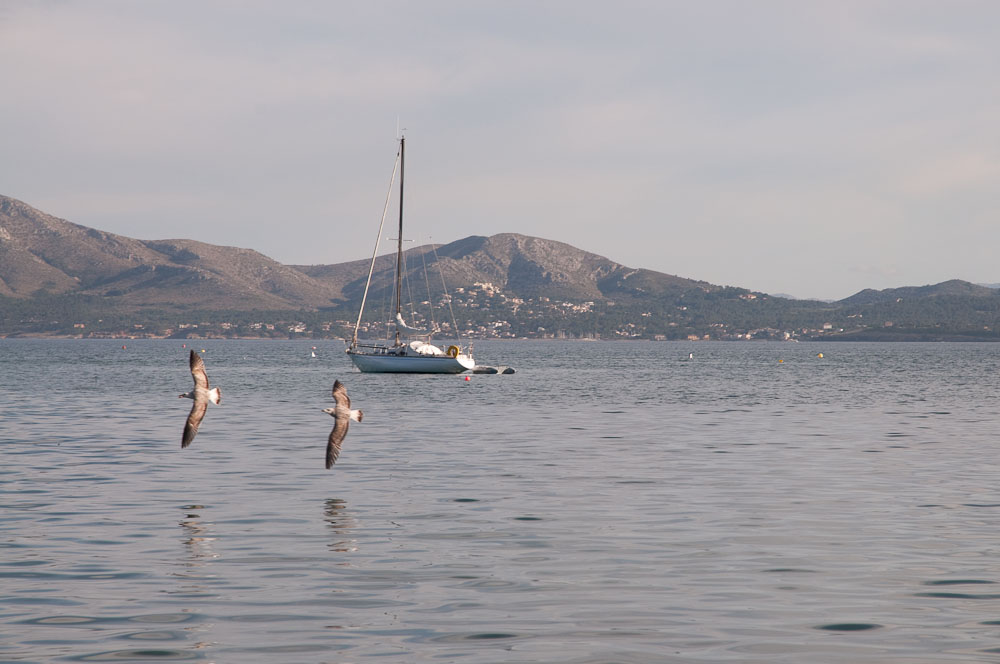 An der Plaja de Pollenca