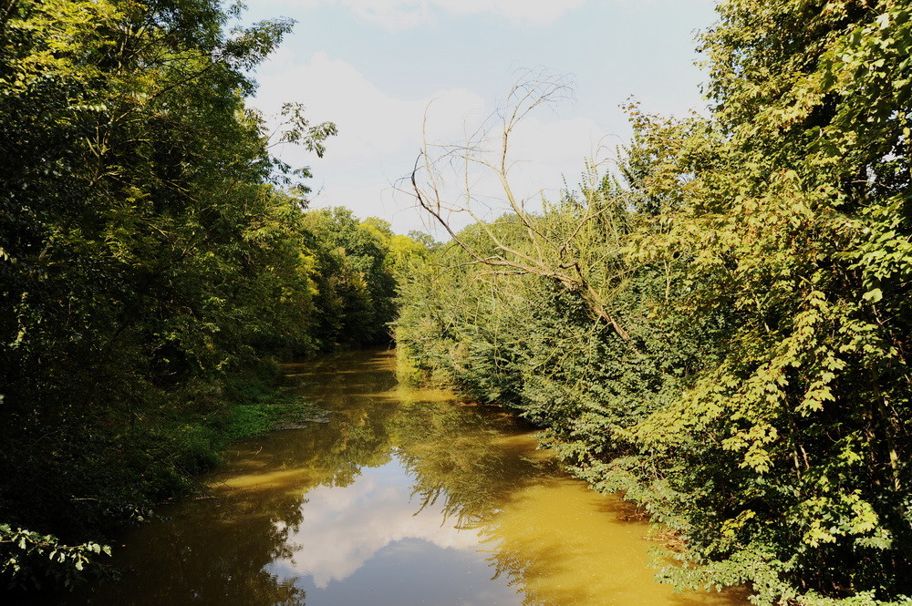 An der Pleiße Foto & Bild deutschland, europe, sachsen Bilder auf