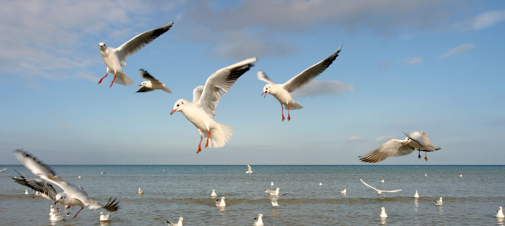 An der polnischen Ostsee