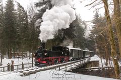 an der Preßnitztalbahn im Winter