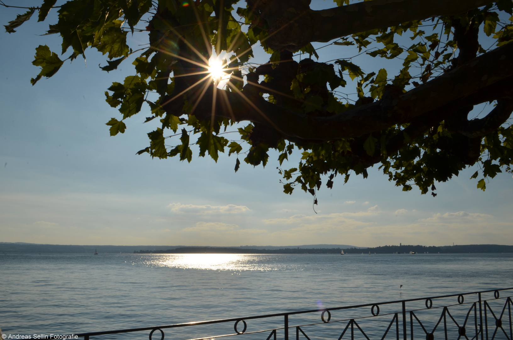 An der Promenade von Meersburg