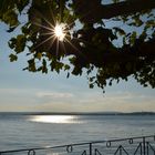 An der Promenade von Meersburg