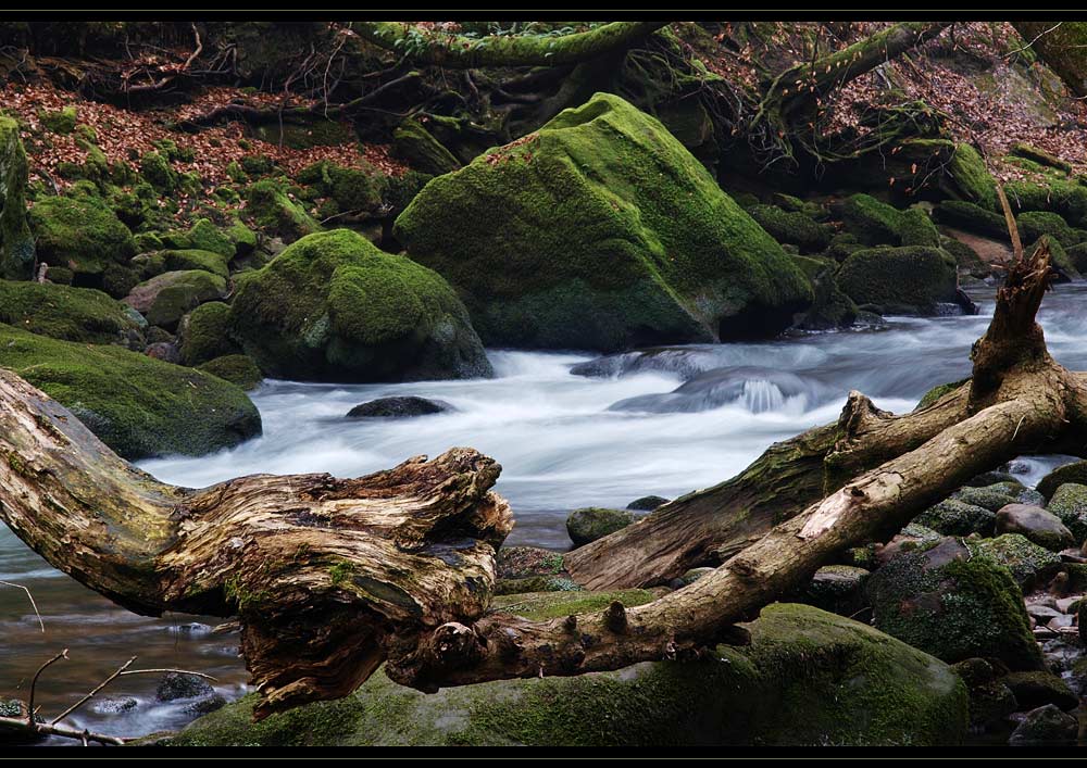 An der Prüm Wasserfälle bei Irrel