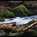 An der Prüm Wasserfälle bei Irrel