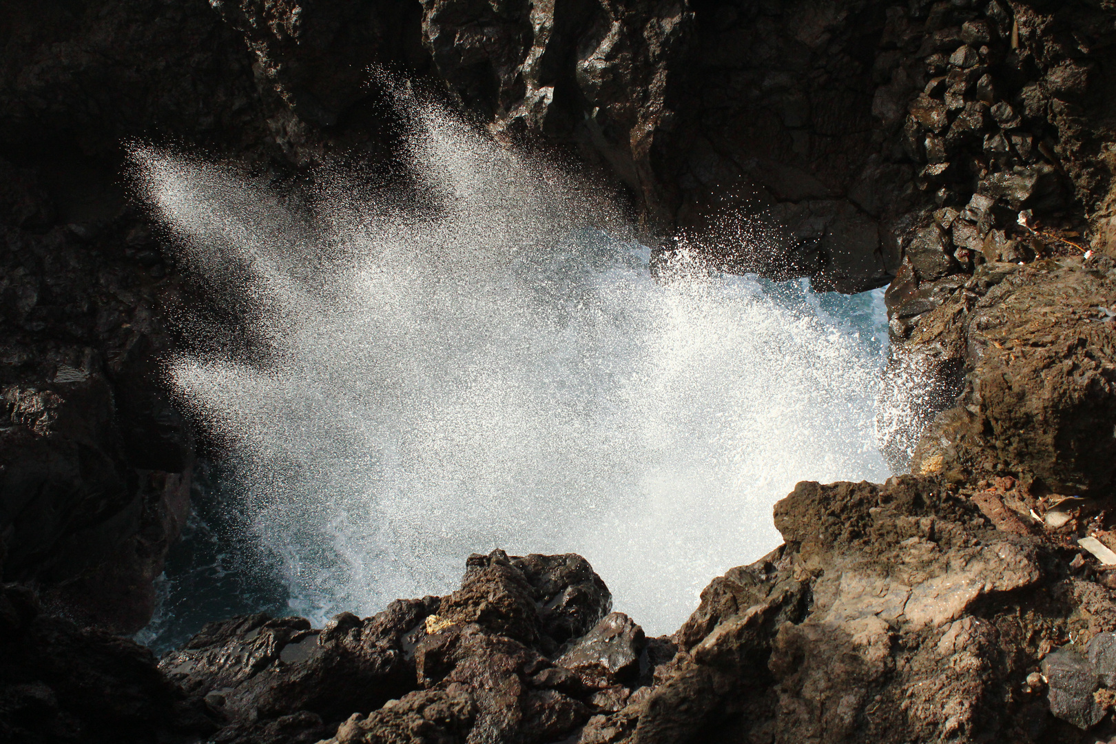 An der Punta Brava in Puerto de la Cruz auf Teneriffa nicht weit des Loro Parque