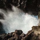 An der Punta Brava in Puerto de la Cruz auf Teneriffa nicht weit des Loro Parque