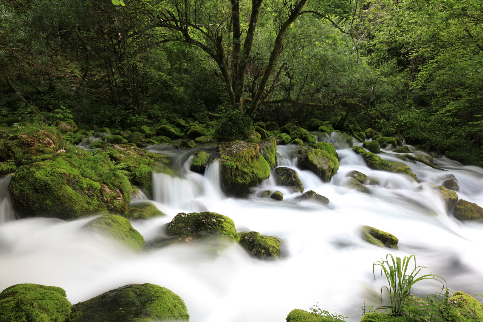 An der Quelle des Gljun/Slowenien