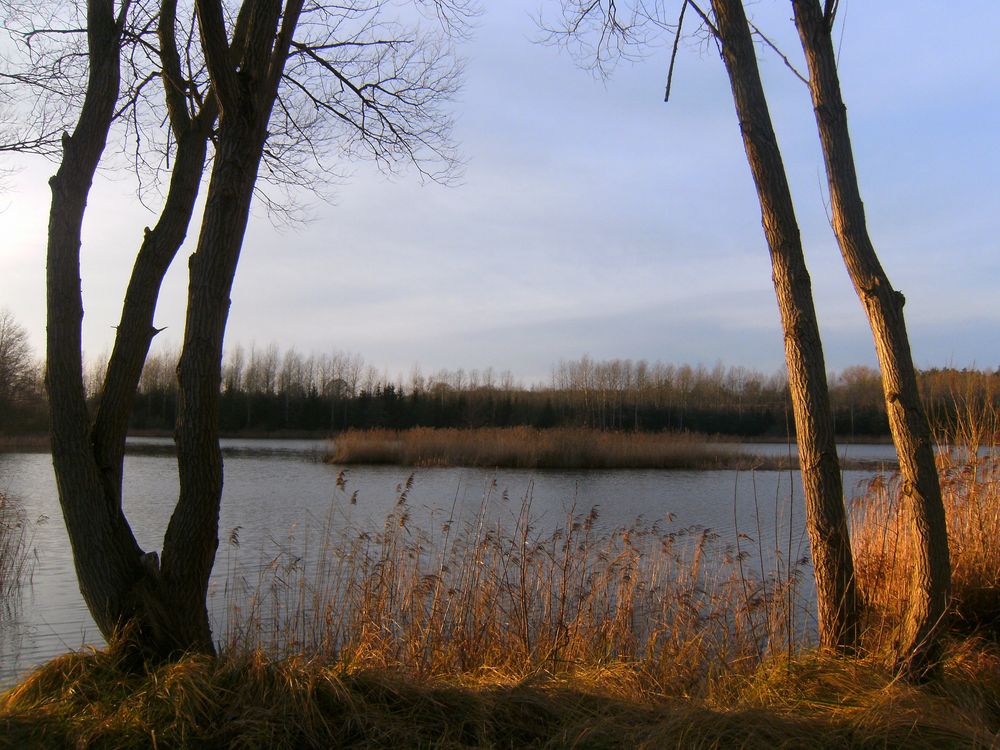 An der Rethwiese