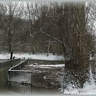 An der Rheidter Laach - Panorama