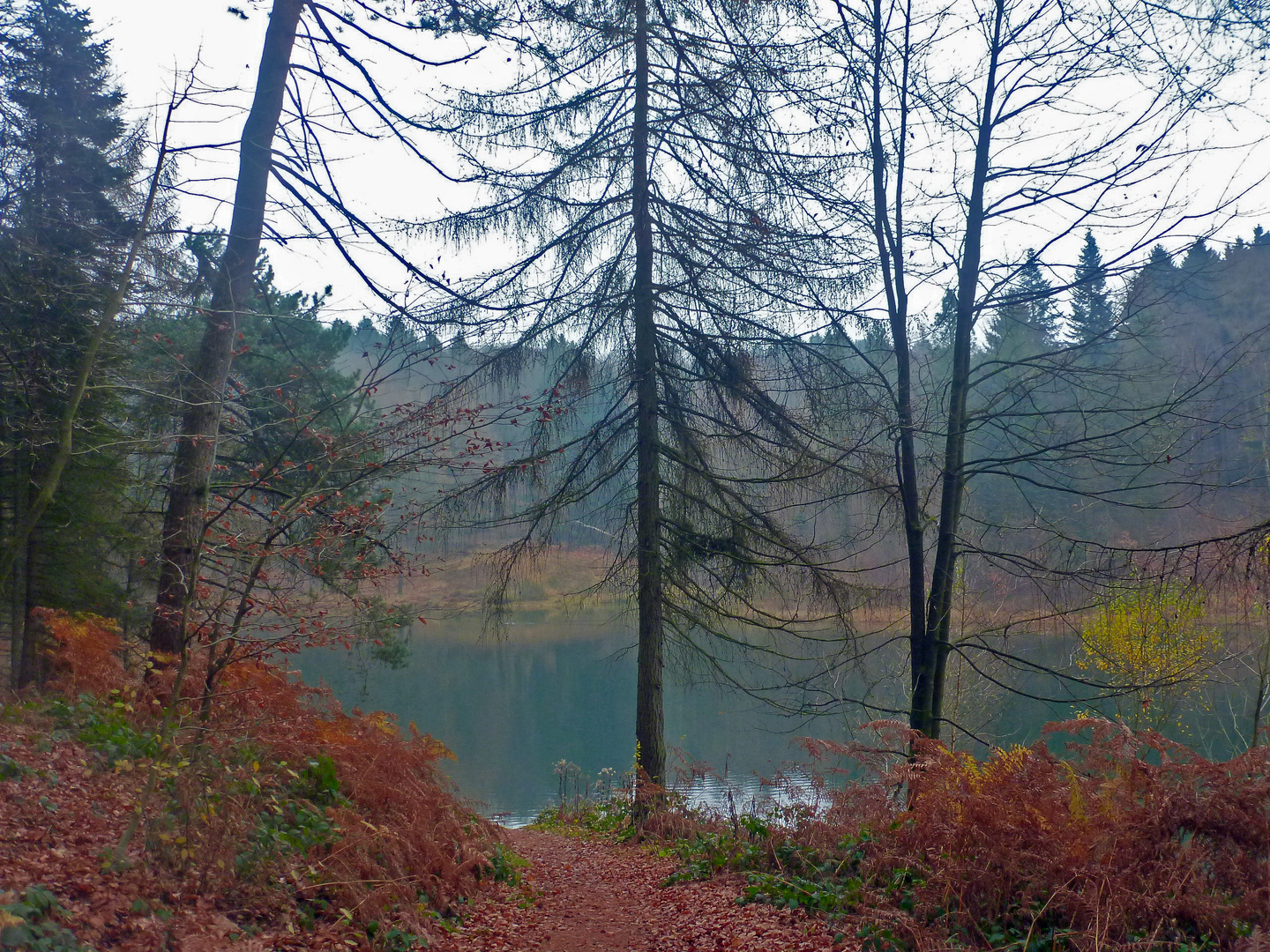 An der Ronsdorfer Talsperre